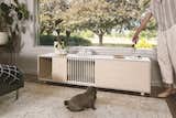 Here’s Some Modern Pet Furniture That Won’t Make Your House Look Like an Animal Shelter