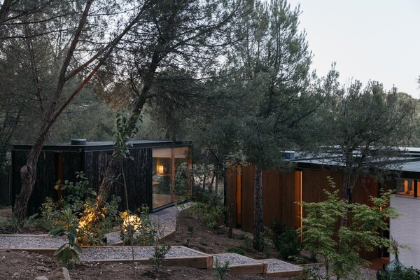 Pine and gravel sleepers follow the site’s natural slope, weaving through the existing pine trees until reaching the home’s entrance.